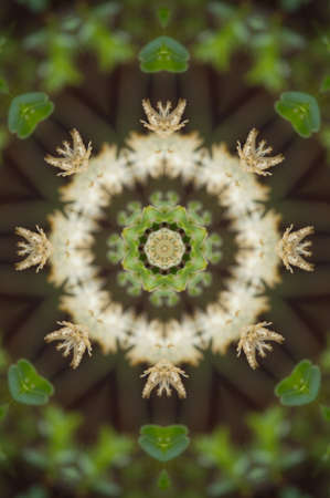 Green kaleidoscope