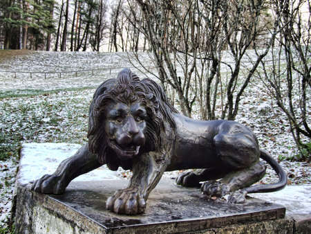 Pig-iron lion in old parkの写真素材