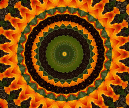 Background from a flower ornament, green and yellow colorの写真素材