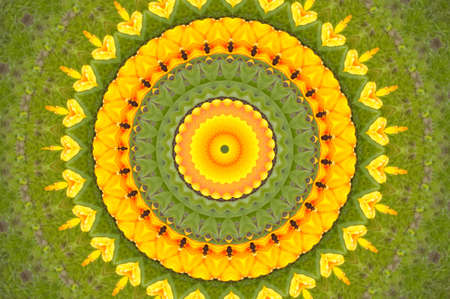 Background from a flower ornament, green and yellow colorの写真素材