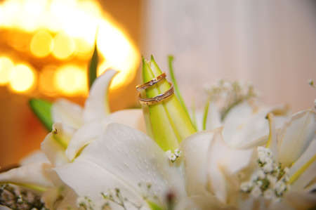 Two wedding rings with white flower in the background.の写真素材