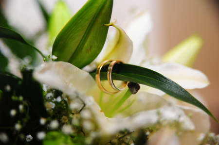 Two wedding rings on a green sheetの写真素材