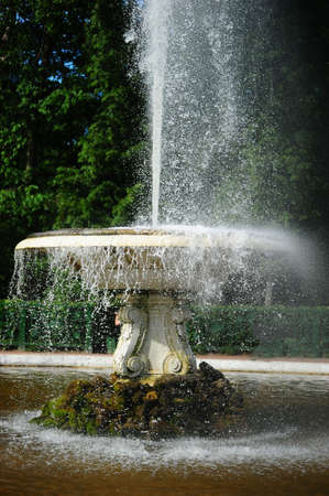 Fountain in parkの写真素材