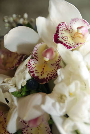 Bouquet of the bride from orchidsの写真素材