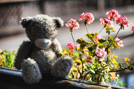 teddy bear with flowersの写真素材