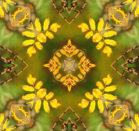 Highly detailed background with oriental ornamentsの写真素材