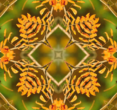 Highly detailed background with oriental ornamentsの写真素材