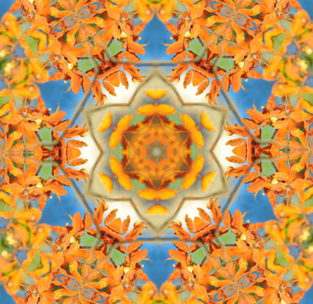 Orange blue ornamentの写真素材