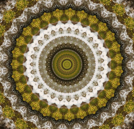 Kaleidoscopic 