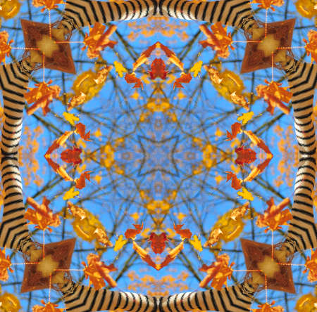Beautiful bright kaleidoscope