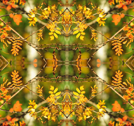 Kaleidoscope in pretty harvest colors of  yellow and green.の写真素材