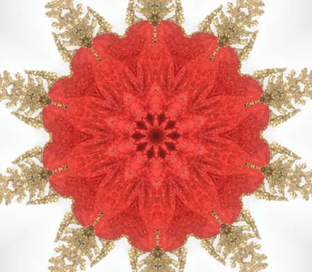Original pattern textured with collage from leaves like flower Poinsettia (Christmas star or Winter rose).の写真素材