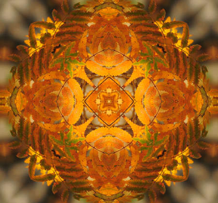 yellow orange ornamental kaleidoscopeの写真素材