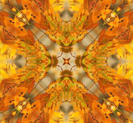 yellow orange ornamental kaleidoscopeの写真素材