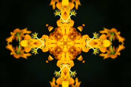 yellow flower ornamentの写真素材