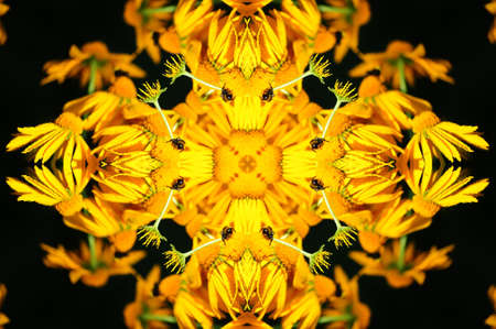 yellow flower ornamentの写真素材