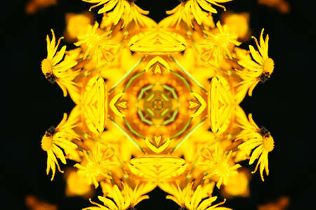 yellow flower ornamentの写真素材