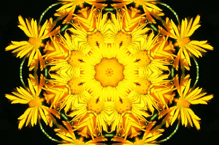 yellow flower ornamentの写真素材