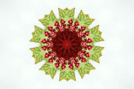 red and green flower patternの写真素材
