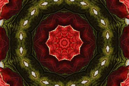 red and green flower patternの写真素材