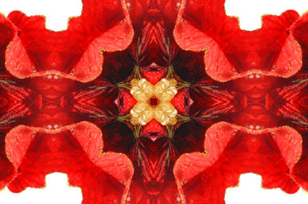 red ornament Kaleidoscopeの写真素材