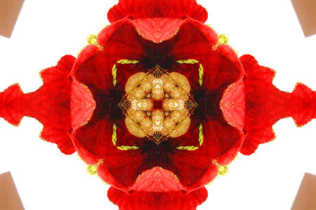 red ornament Kaleidoscopeの写真素材