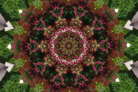 Abstract background, kaleidoscope of flowers on a green backgroundの写真素材
