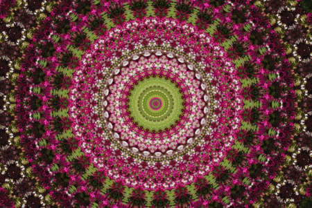 Abstract background, kaleidoscope of flowersの写真素材