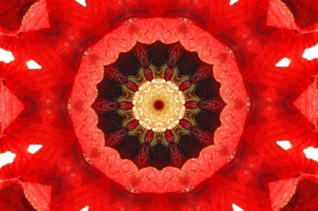 red ornament Kaleidoscopeの写真素材
