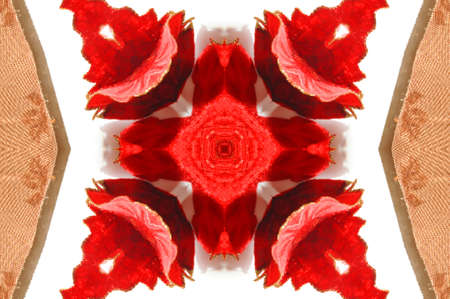 red ornament Kaleidoscopeの写真素材