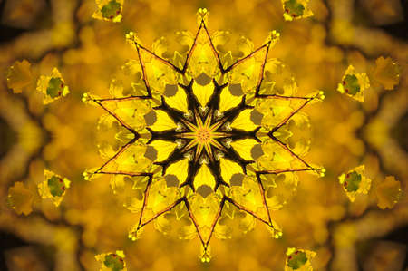 yellow ornamentの写真素材