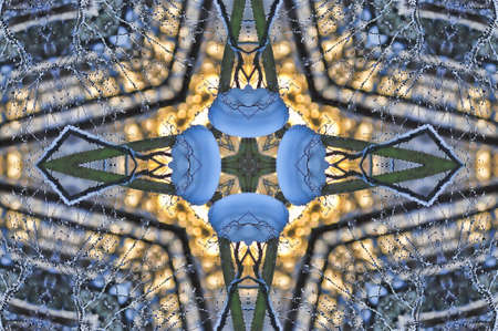 illustration of Colorful circular background made in oriental style   の写真素材