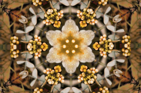 brown circular pattern of flowersの写真素材