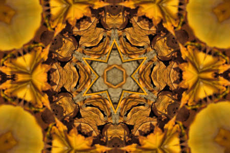 six-pointed star ornamentの写真素材