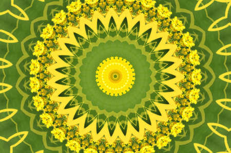 green and yellow circular ornamentの写真素材