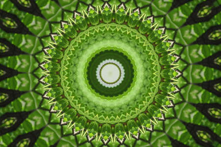 green geometric patternの写真素材