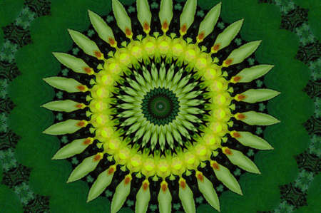 Green Kaleidoscopeの写真素材