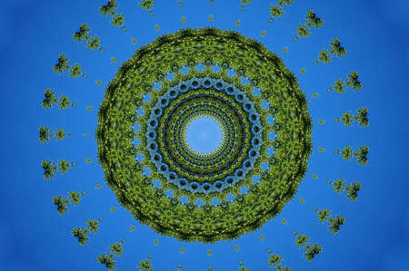 green flora ornament on a blue backgroundの写真素材