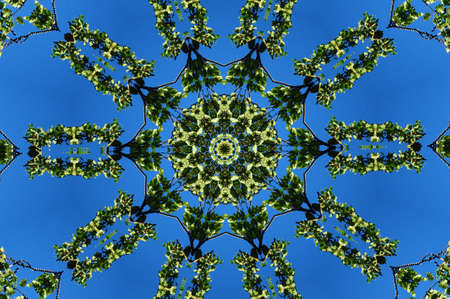 green flora ornament on a blue backgroundの写真素材