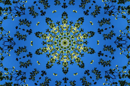 green flora ornament on a blue backgroundの写真素材