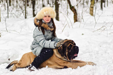 Girl with her english mastiff dog.の写真素材