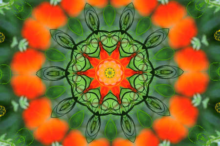 Stained glass image with pretty christmas colors of red and green.の写真素材