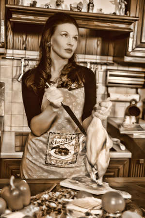 housewife burke chickenの写真素材