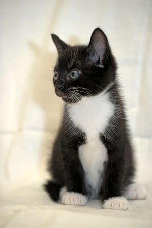 texture of pagodas at wat phra kaeo in bangkok, thailandの写真素材