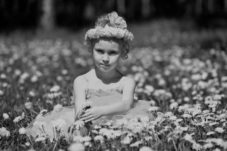 girl in a field of dandelionsの写真素材