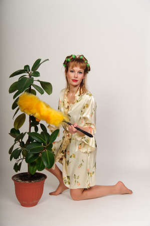 housewife shake the dust from the ficus