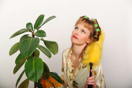 housewife shake the dust from the ficus