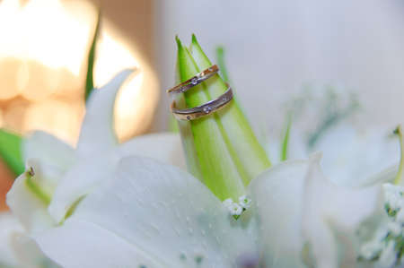 wedding ringsの写真素材