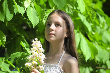 girl with a blooming chestnut treeの写真素材