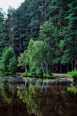 Forest lake in the eveningの写真素材